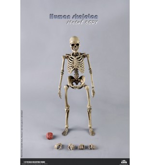 Coomodel BS011  Human Skeleton Metal Body / Coomodel BS011 合金材質 骷髏 高可動素體 開合頭骨